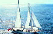 PRM Marine Transmissions
